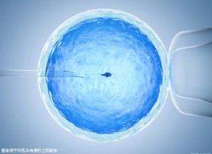 苏医生